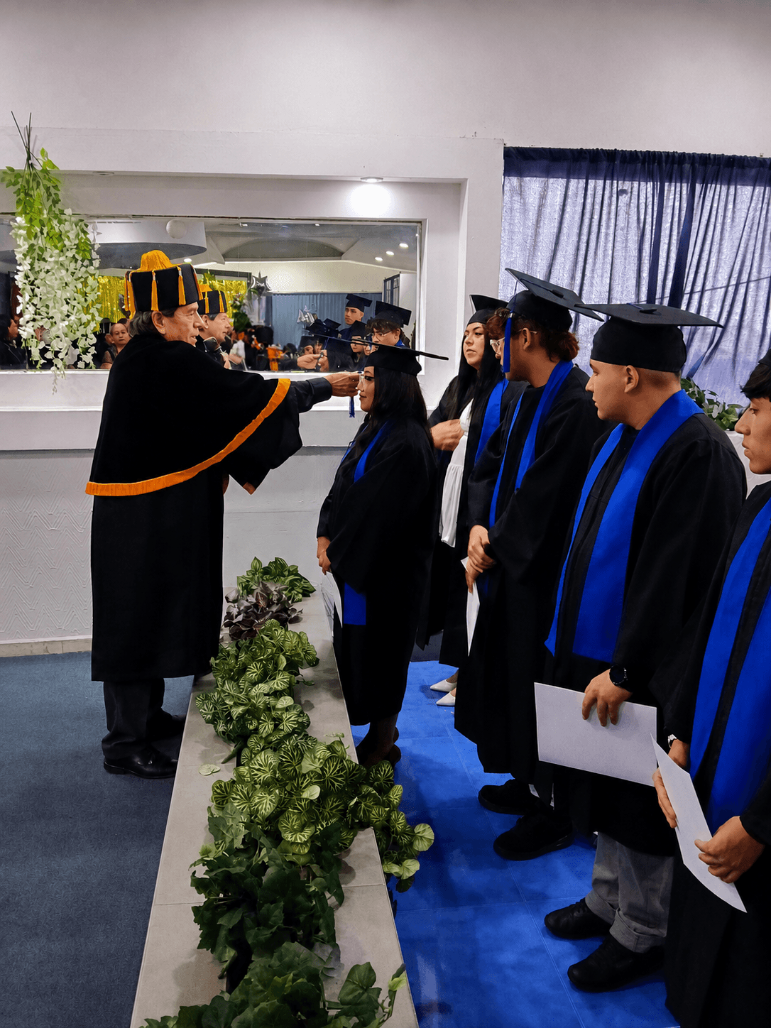 Vista previa de licenciaturas